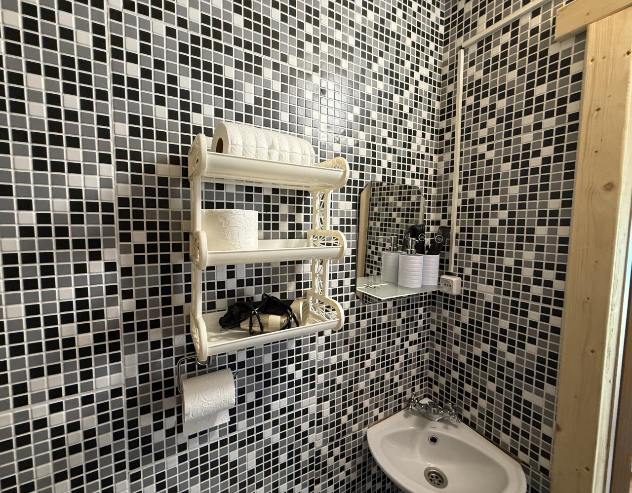 Санузел и душ в номере