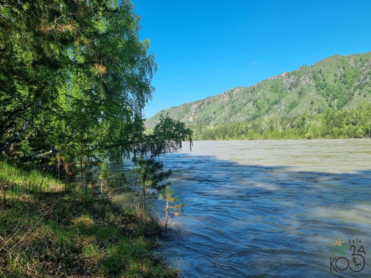 Выход к реке Катунь возле зеленого дома "Коза" в Черемшанке