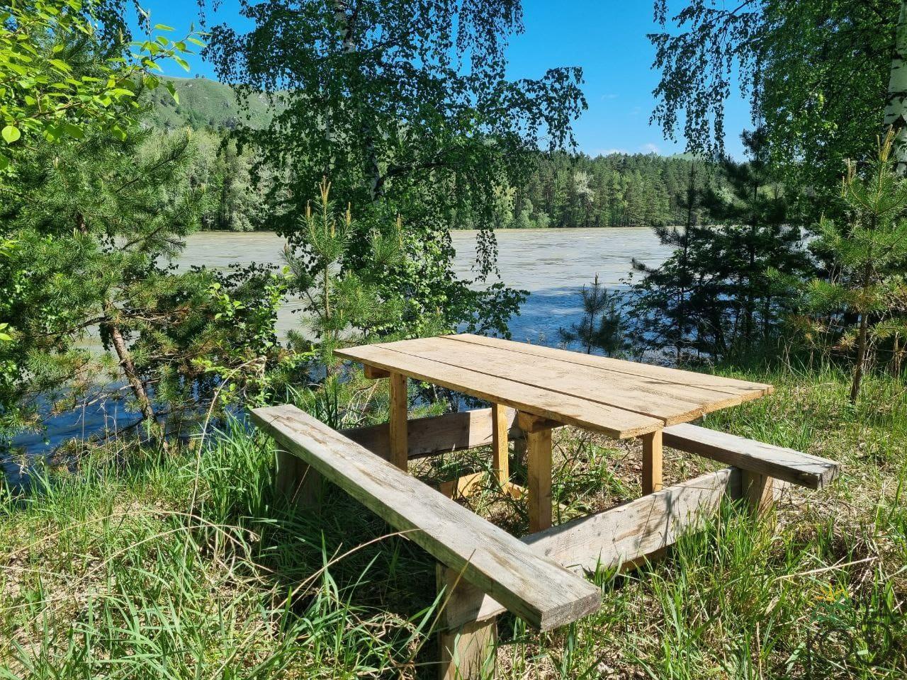 Берег реки Катунь возле зеленого дома "Коза" в Черемшанке