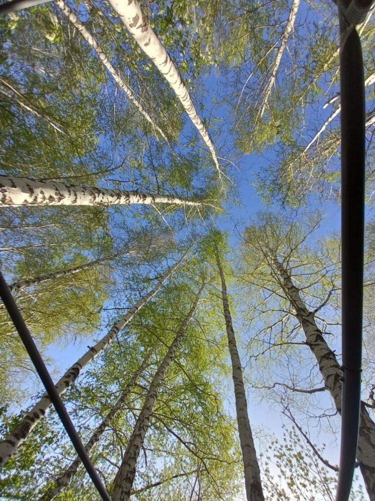 "Домик в деревне" отдых на Алтае у озера Ая