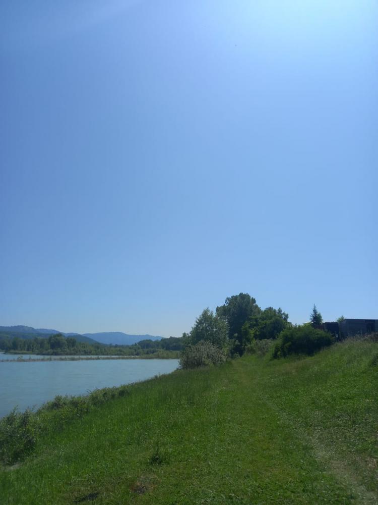 Катунь в 200 м от Усадьбы