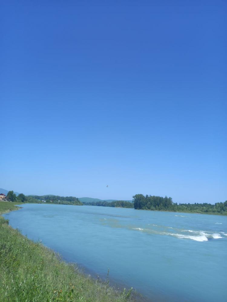 Катунь в 200 м от Усадьбы