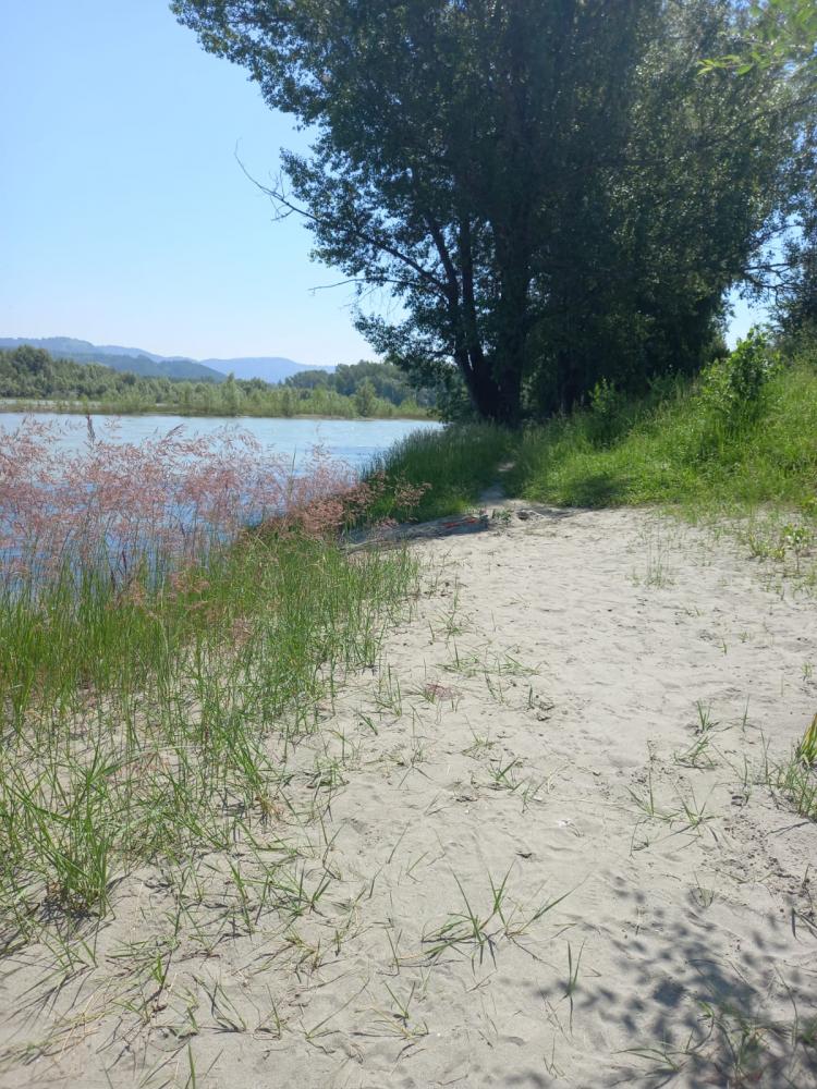 Песчаный пляж на Катуни в 200 м