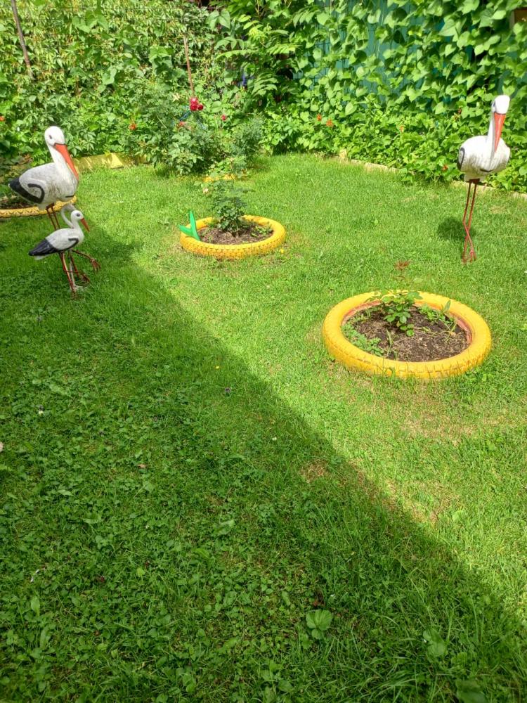 Алтай "Домик в деревне" территория