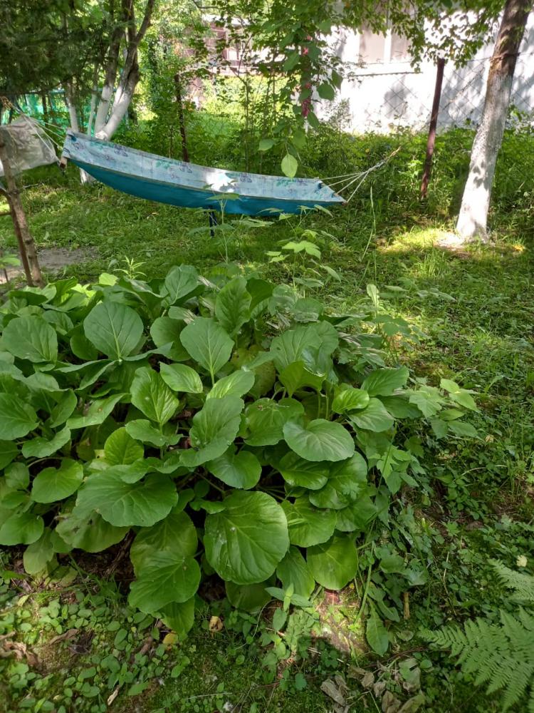 Территория Домик в Деревне