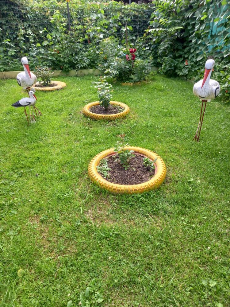 Территория Усадьбы Домик в деревне