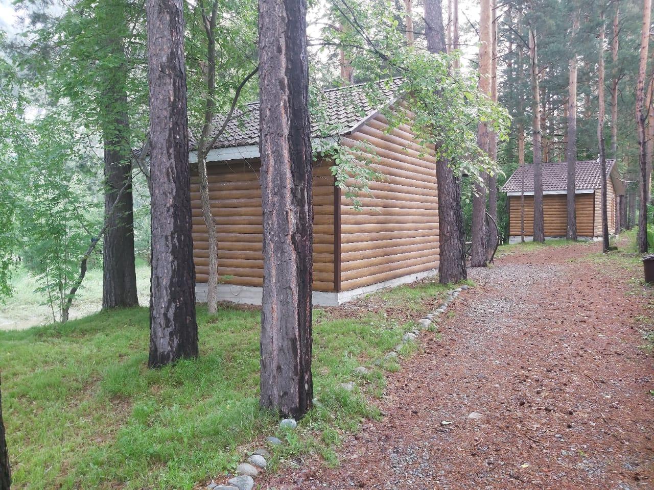 База "Хвойный берег", домики