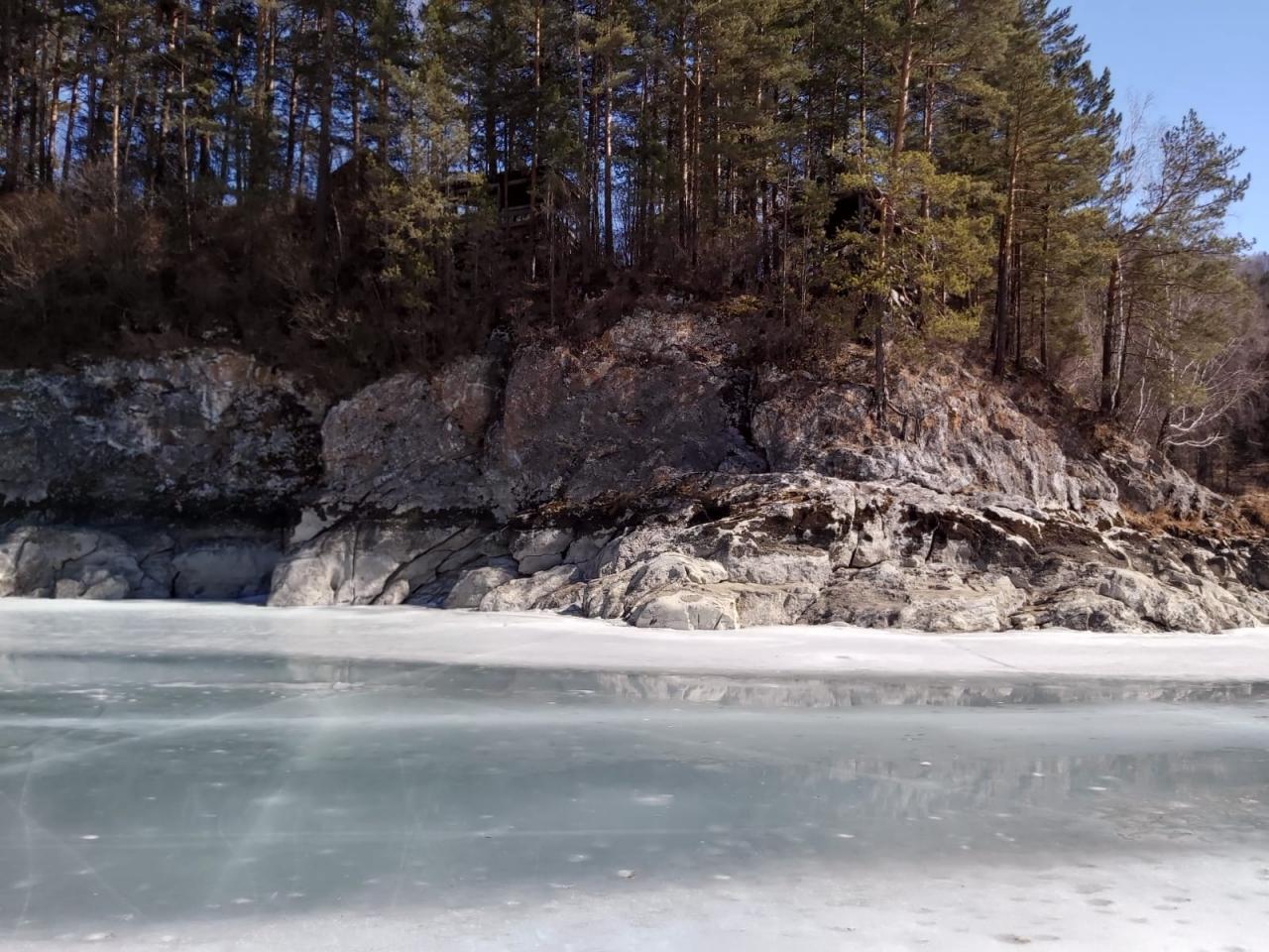 База "Хвойный берег", виды