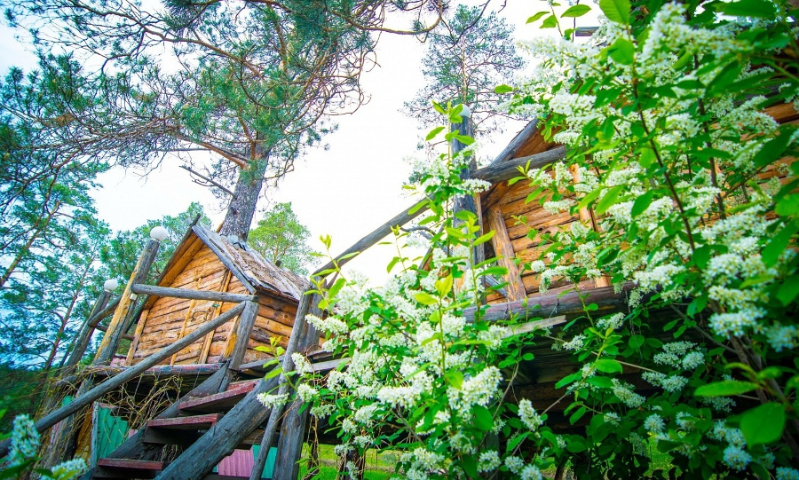 Летние домики «на дереве»