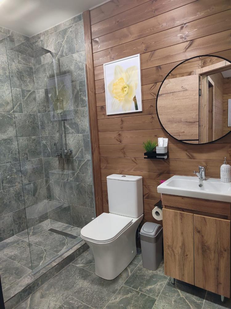 Люкс №3 двухкомнатный 4-местный с кухней 