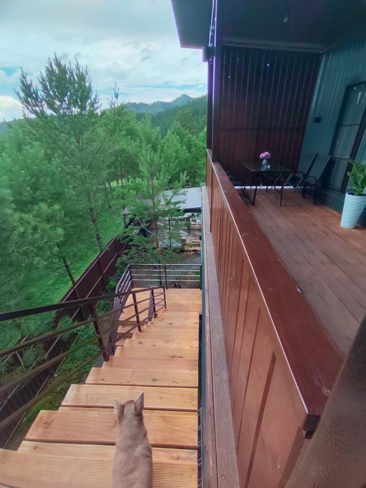 Люкс №5 трехкомнатный с кухней