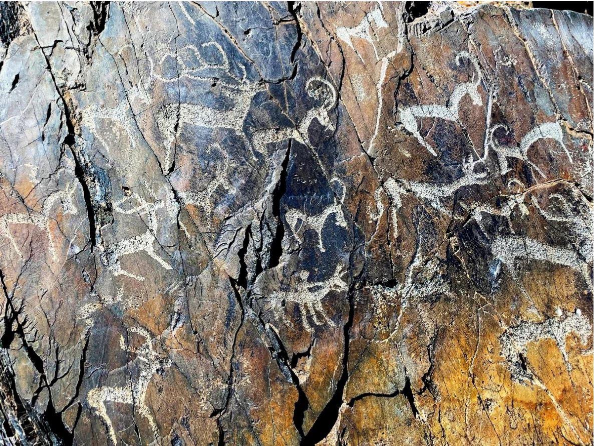 Наскальная живопись в Горном Алтае в Кош-Агаче