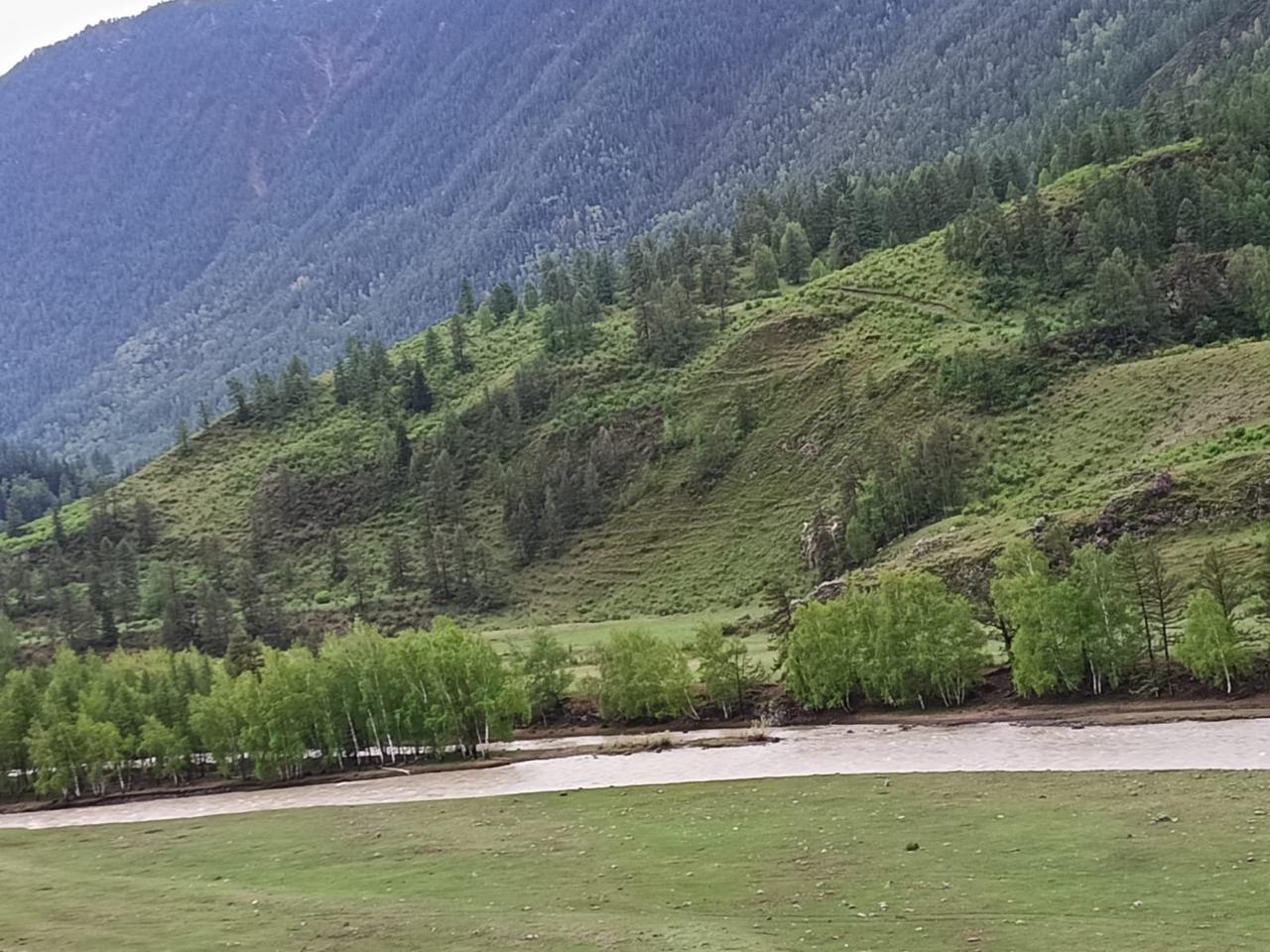 Виды гор Алтая с базы отдыха "Рассвет" в Чибите