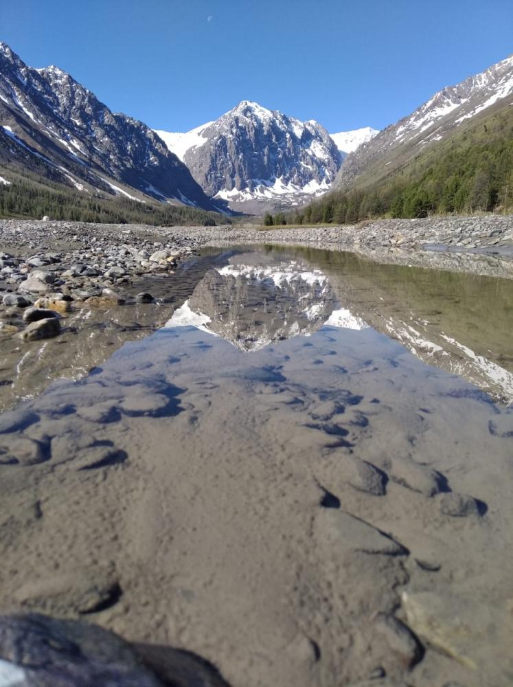 Долина реки Актру с видом на Караташ
