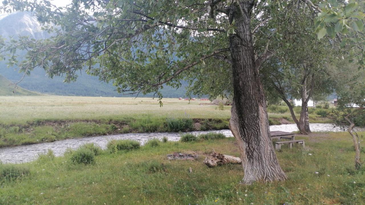 Отдых у реки в Горном Алтае в Акташе и Чибите