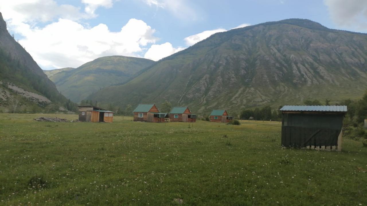 База отдыха "Горная речка" на Алтае Чибит Акташ