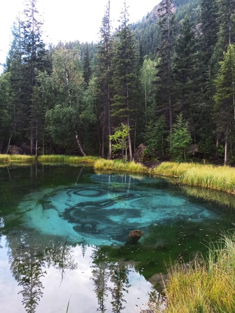 Экскурсия на Гейзерное озеро  из Горно-Алтайска