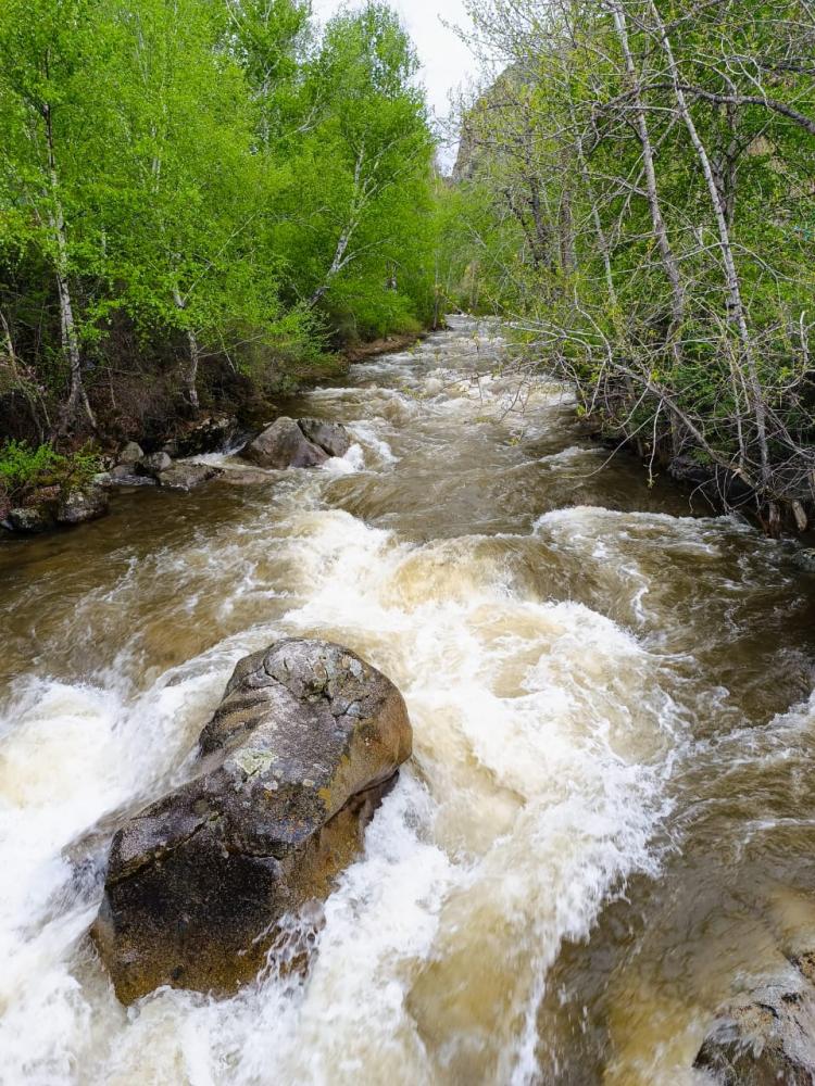 Экскурсии из Горно-Алтайска на Алтай