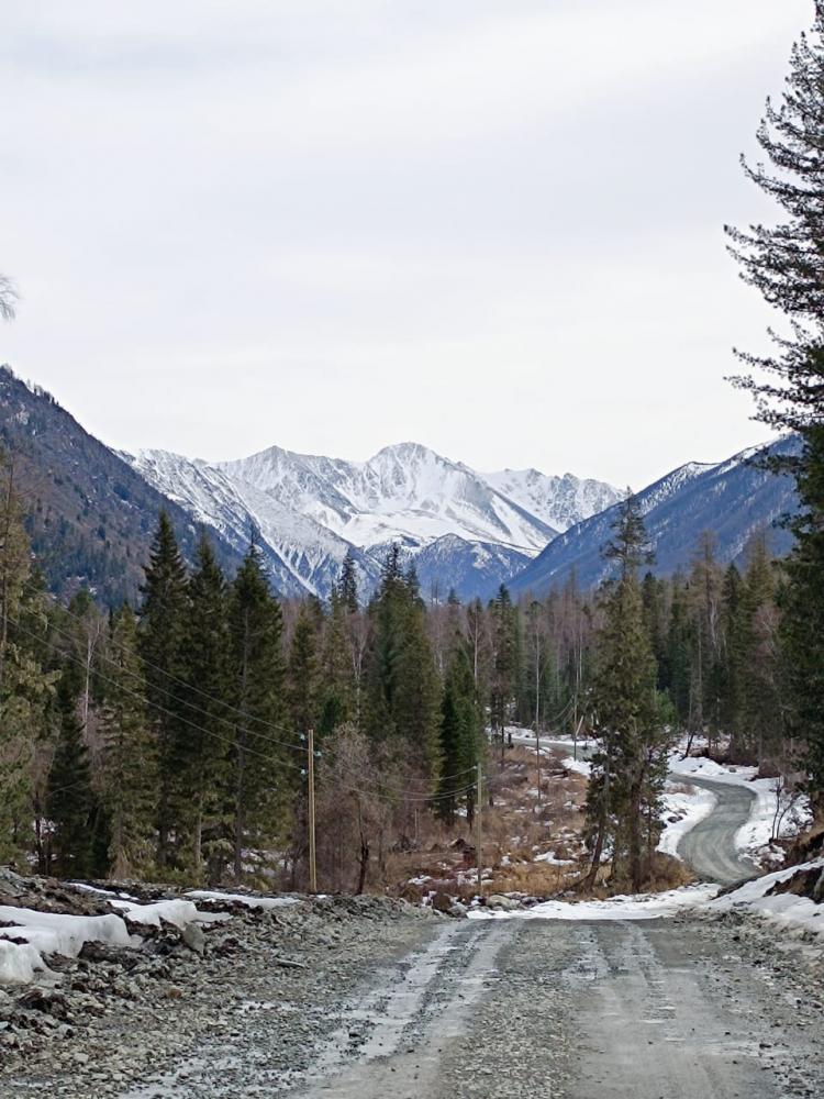 Экскурсии на Мультинские озера из Горно-Алтайска