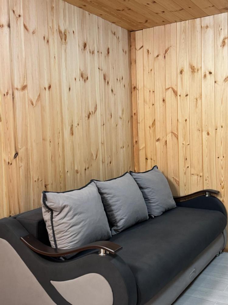 Номер благоустроенный с двуспальной кроватью и диваном