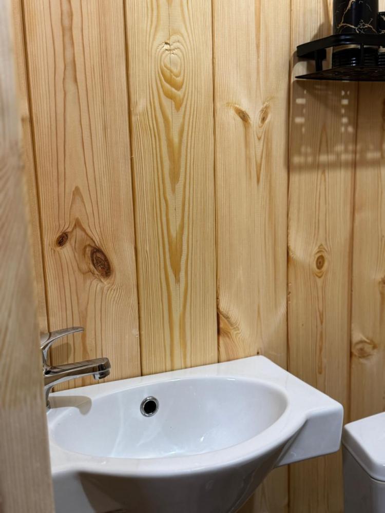 Номер благоустроенный с двуспальной кроватью и диваном