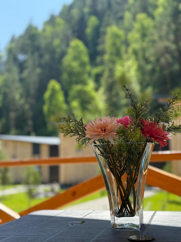 База отдыха у реки на Алтае "Горный рай" село Узнезя