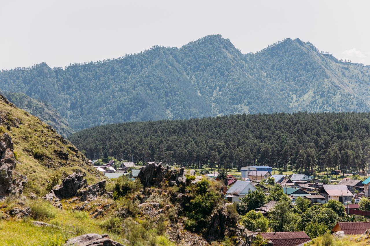 Территория_4