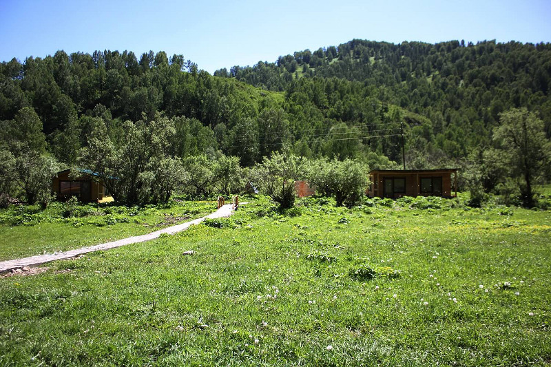 Маральник Сибирь