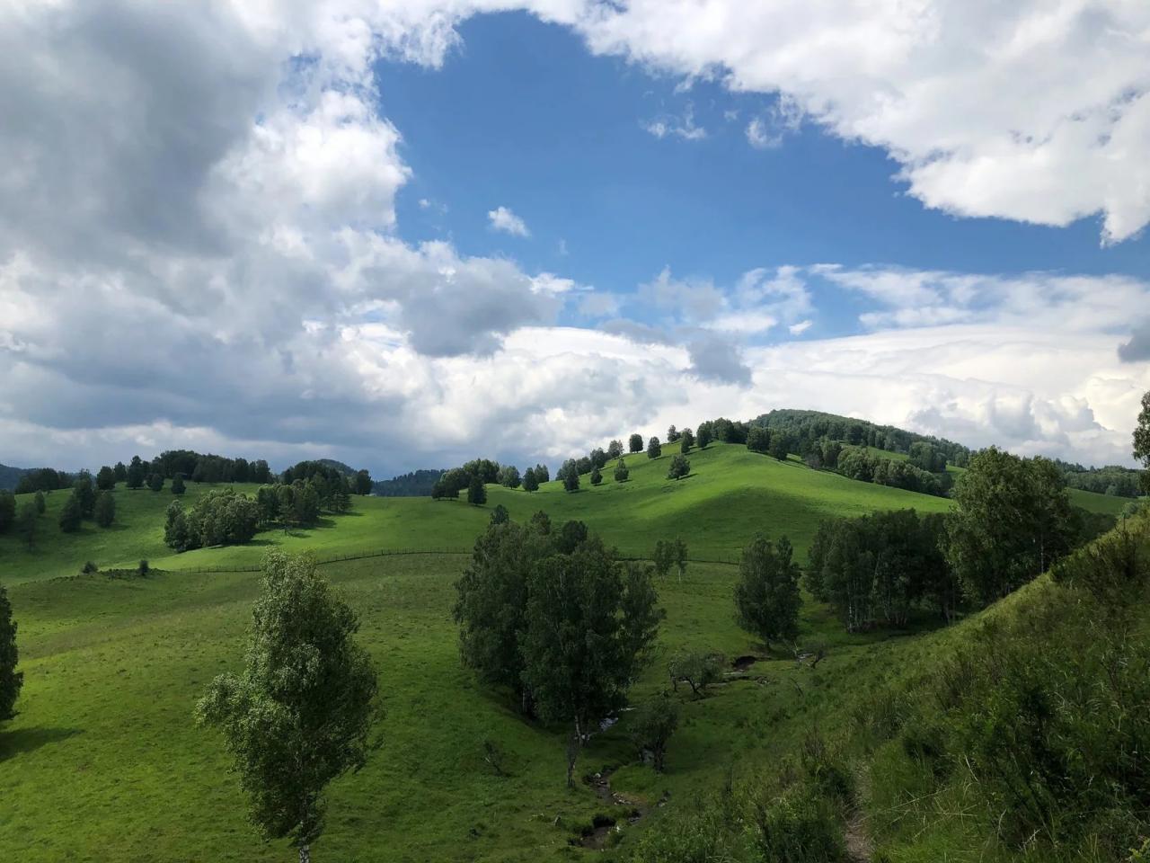 Мараловодческое хозяйство "Сибирь" Алтайский край