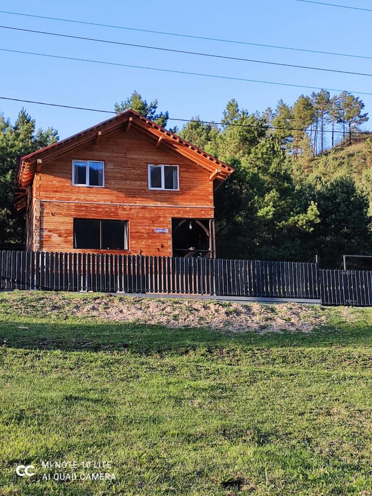 Гостевой дом Рыжий кот