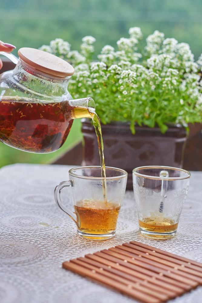 Отдых в Горном Алтае вблизи Чемала