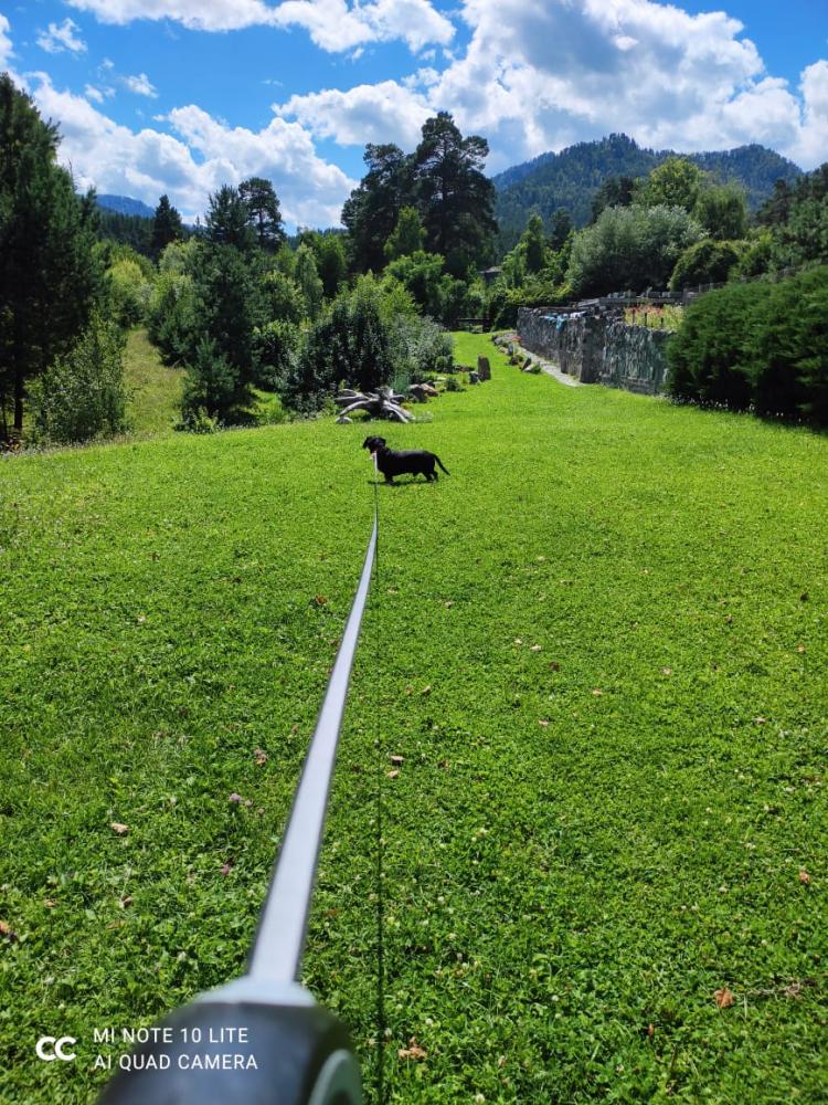 Отдых с видом на горы на Алтае в Чемальском районе
