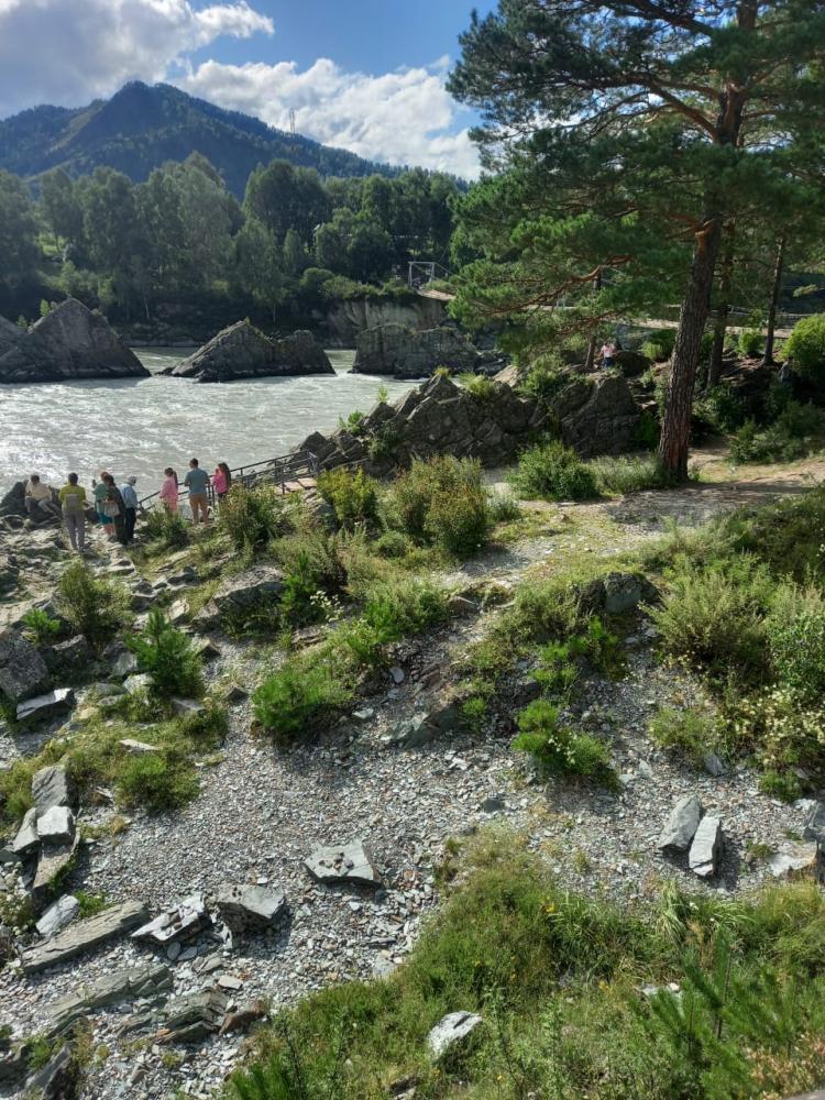 Река Катунь подвесной мост Горный Алтай