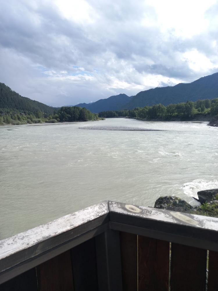Река Катунь вид со смотровой площадки в Элекмонаре