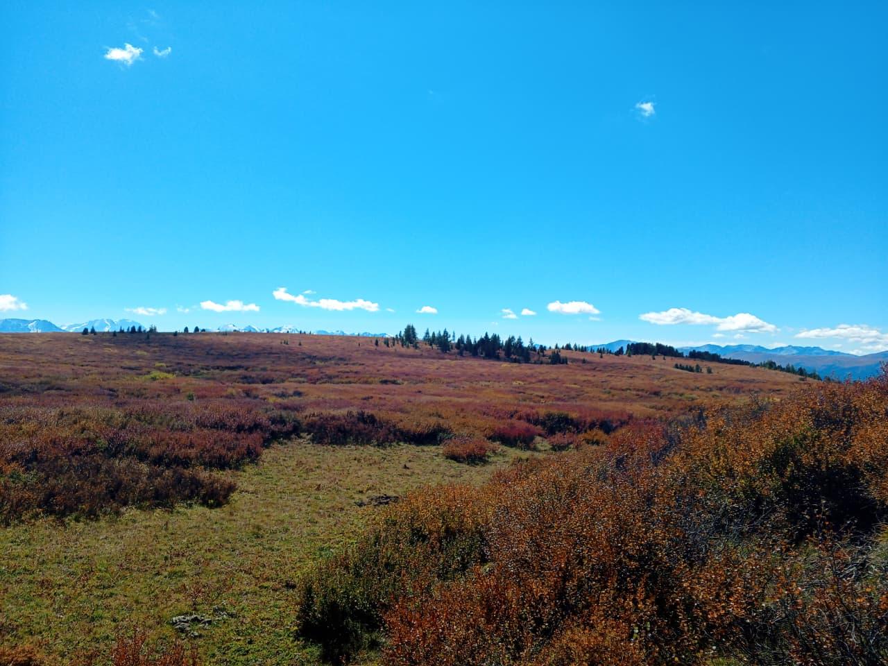 Экскурсия по Горному Алтаю из Акташа 1-дневная