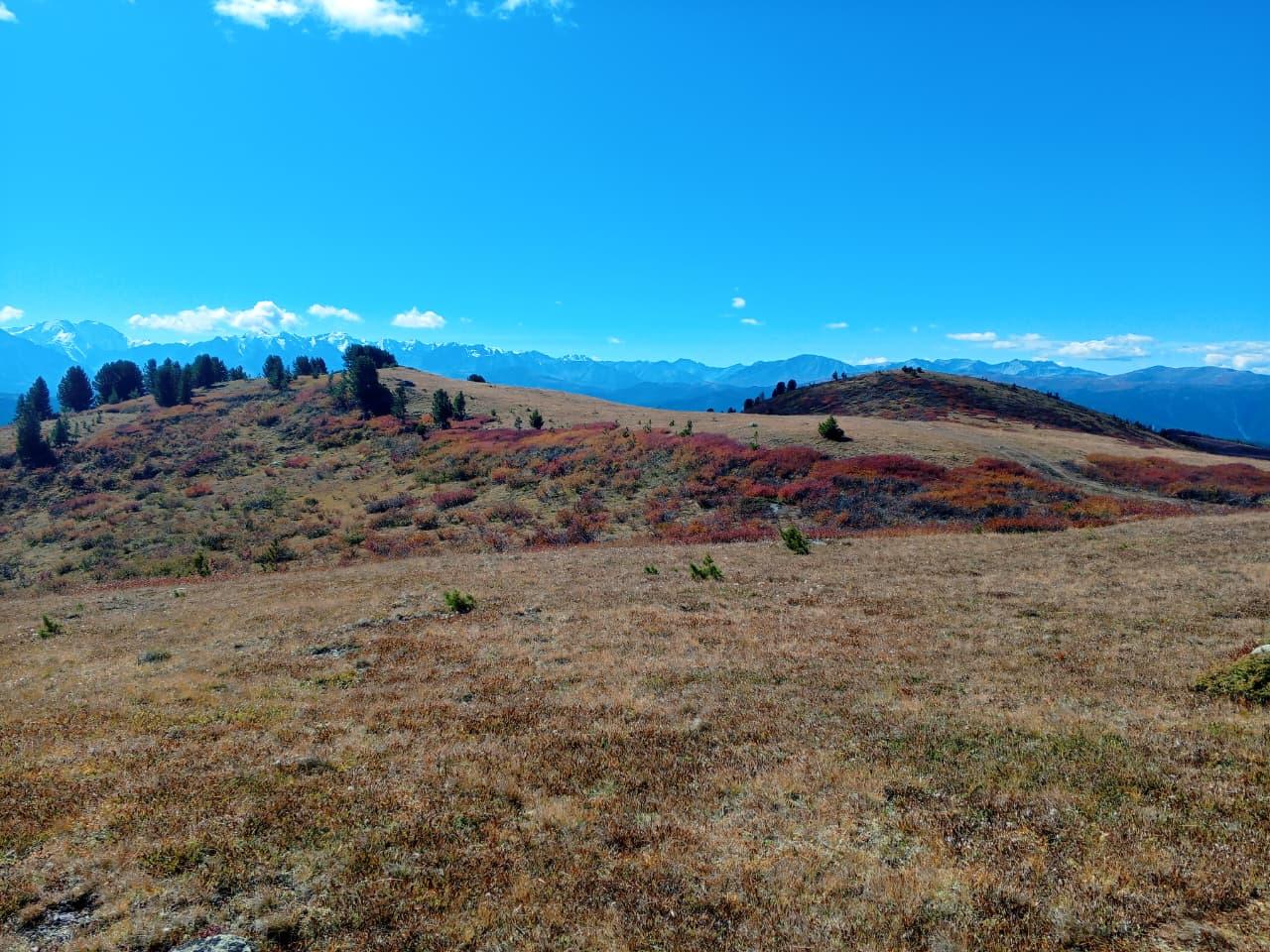 Акташ тур на смотровую площадку с видом на Улаганские озера Алтая