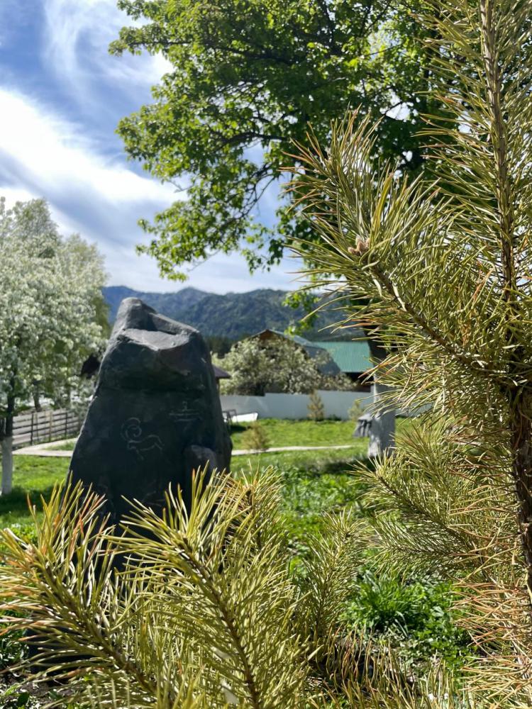 Усадьба Чемальский Утес территория