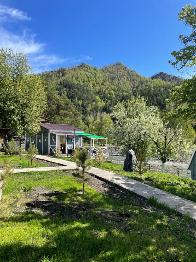 Территория для прогулок у реки Чемал