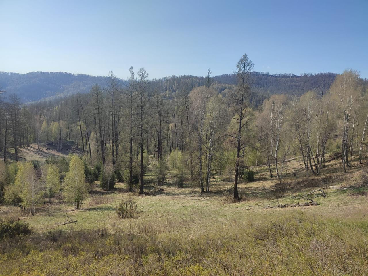 Окрестности села Соузар Республика Алтай