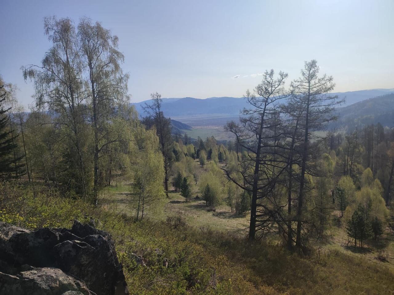 Окрестности села Соузар в Усть-Коксинском районе вид на горы Алтая