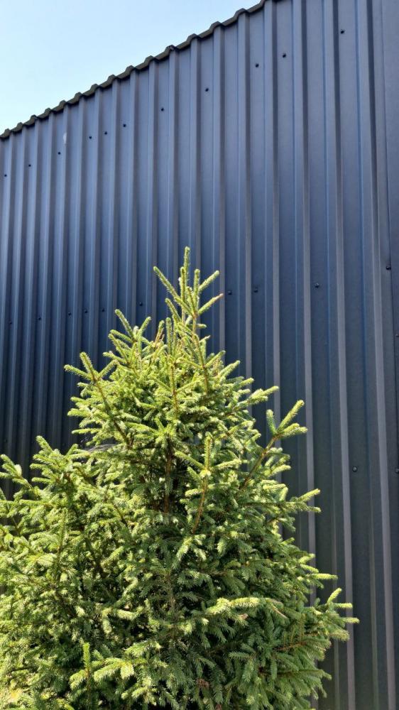 Гостевой дом "Горный LOFT" на Алтае вблизи Чемала