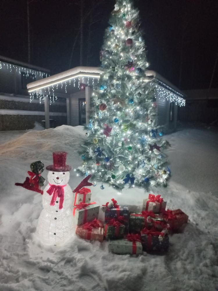 Новый год на Алтае в гостевом доме "Сердце Сибири"