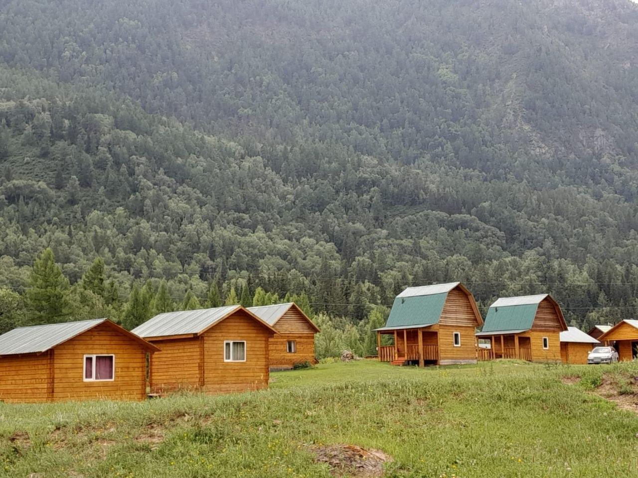 База отдыха "Алтай Бака" в Акташе