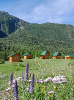 База отдыха Алтай Бака в районе Акташа в Республике