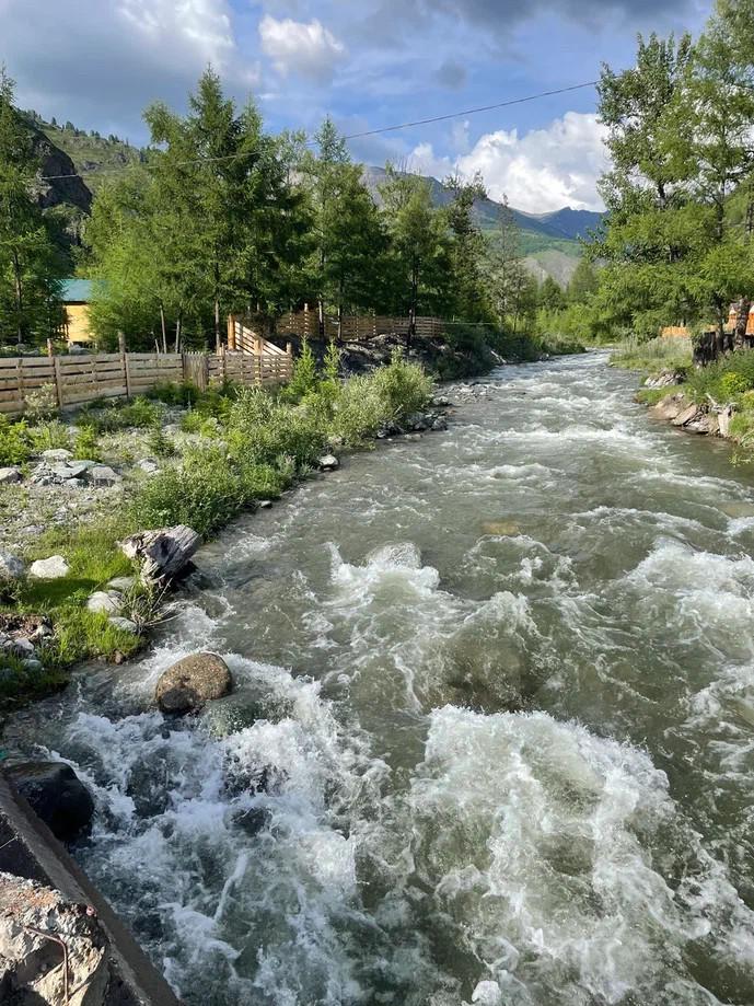 Отдых на Алтае на берегу реки в Акташе