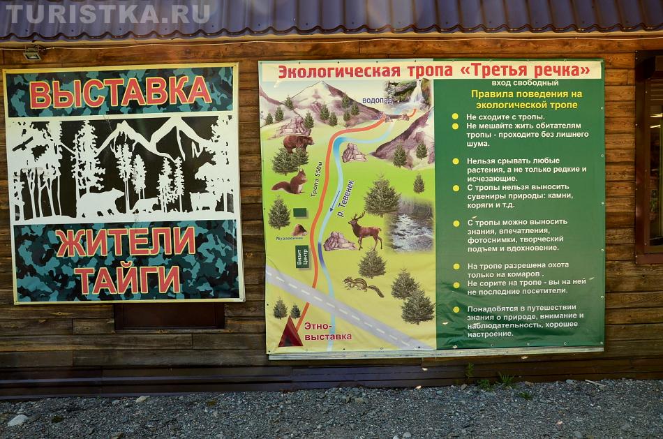 Эко-тропа на Третьей речке