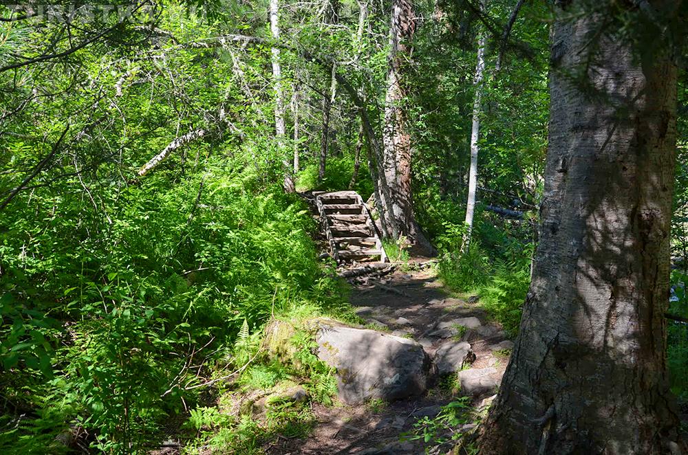 Эко-тропа на Третьей речке