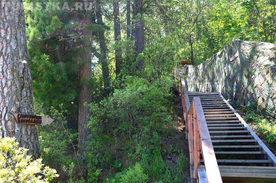 Дорожка вдоль Телецкого озера к смотровым площадкам