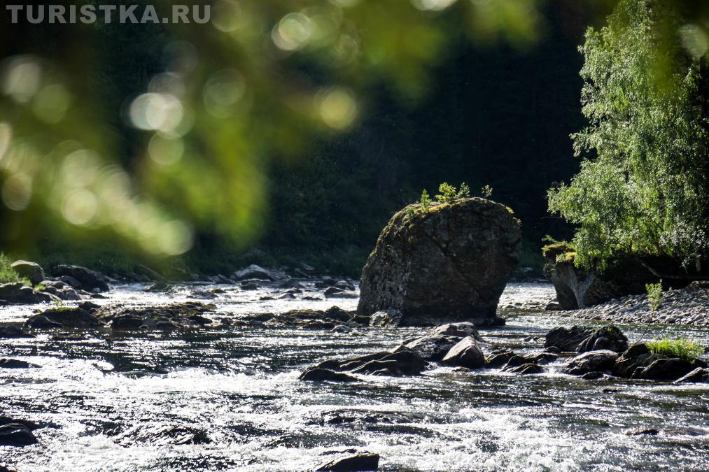 На реке Кумир
