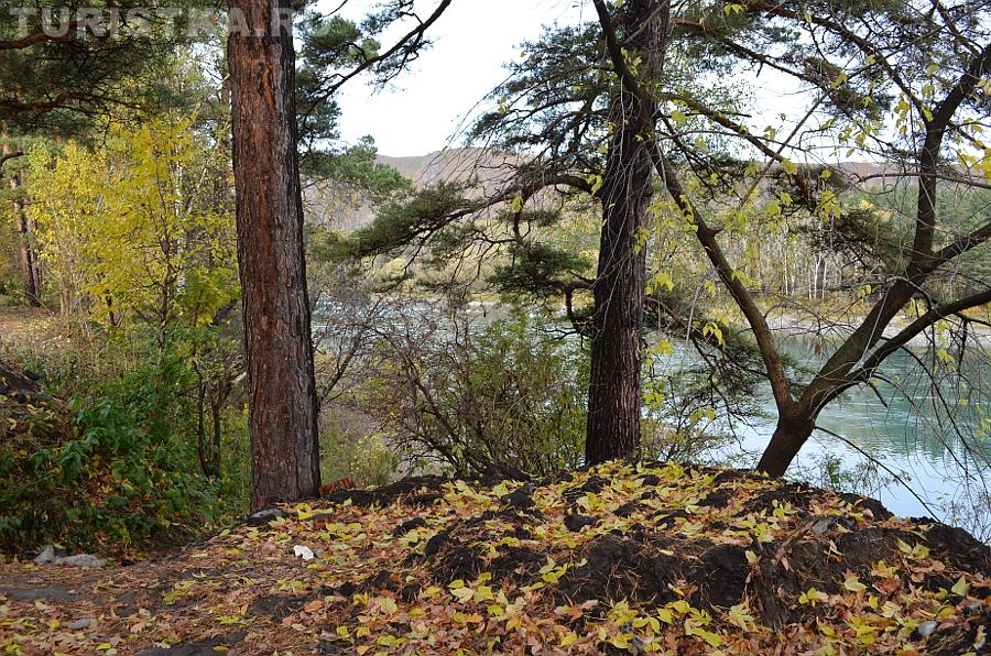 Берег Катуни в селе Соузга